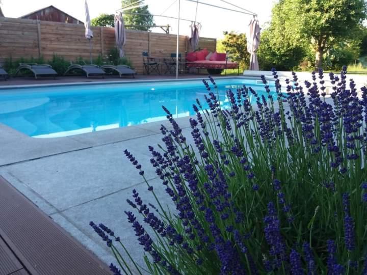 D Hotes ,hotel ,secret D'une Nuit A Vicq Pres De Onnaing,avec Piscine Bed & Breakfast Vicq (Nord)